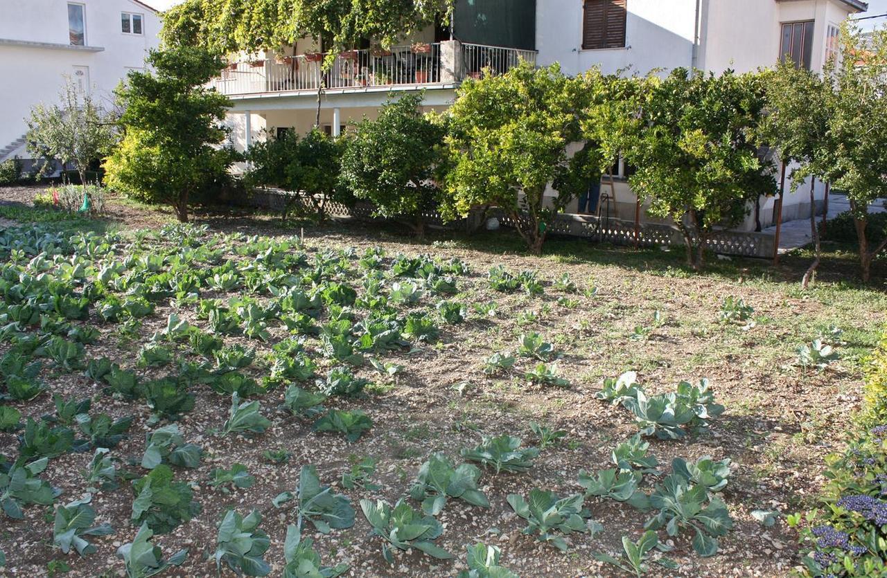 Apartments With A Parking Space Kastel Stafilic, Kastela - 5219 ภายนอก รูปภาพ